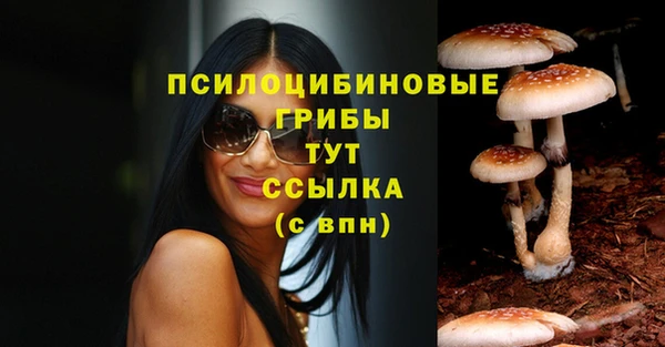спиды Белоозёрский
