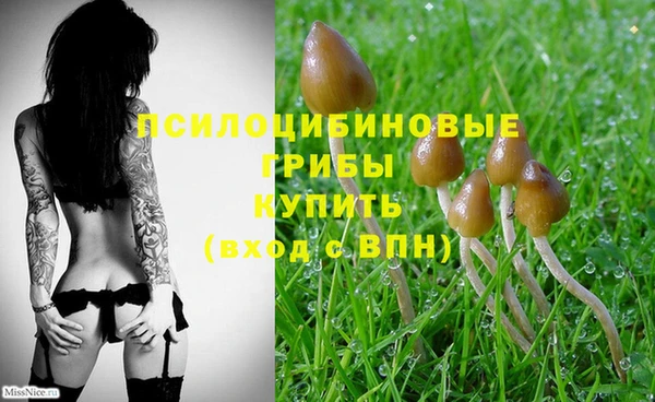 спиды Белоозёрский