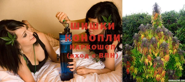a pvp Белокуриха