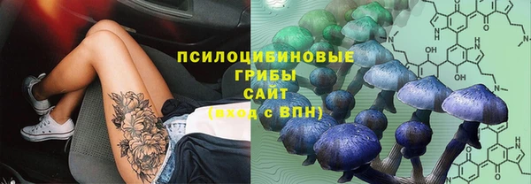 спиды Белоозёрский