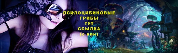 a pvp Белокуриха