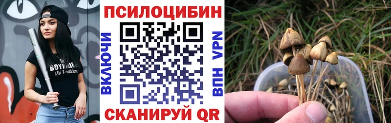 Псилоцибиновые грибы прущие грибы  наркошоп  darknet Telegram  Окуловка 